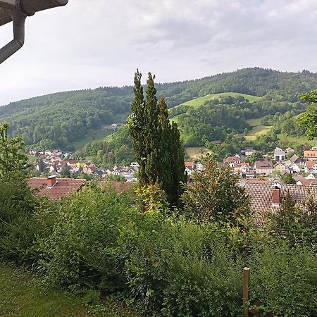 Das Tor Zum Odenwald Gorxheimertal Екстериор снимка