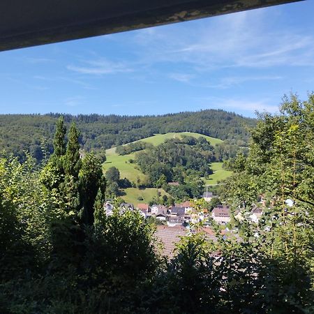 Das Tor Zum Odenwald Gorxheimertal Екстериор снимка