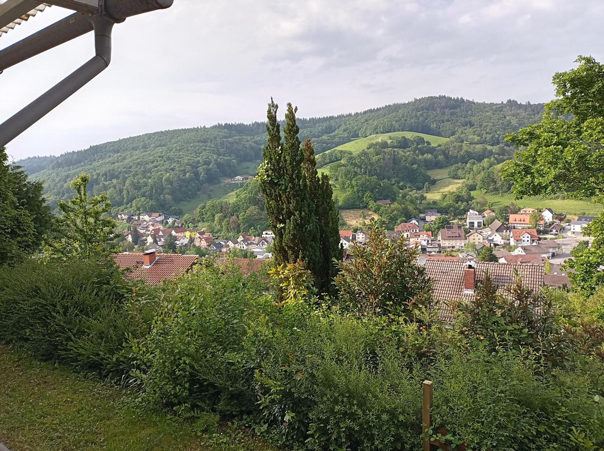 Das Tor Zum Odenwald Gorxheimertal Екстериор снимка
