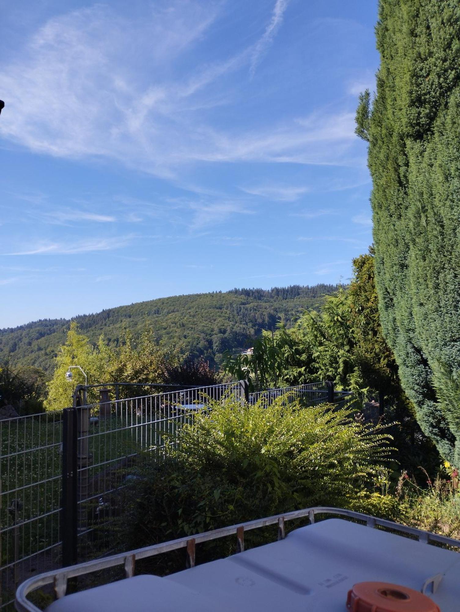 Das Tor Zum Odenwald Gorxheimertal Екстериор снимка